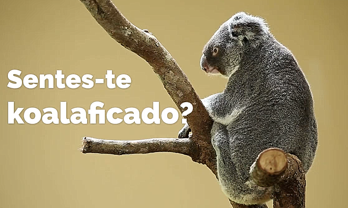 Sentes-te koalificado ?