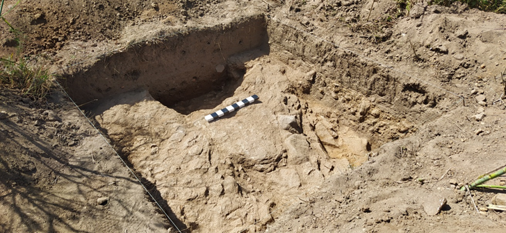 Assegurados trabalhos arqueológicos na empreitada de construção de uma moradia em Lavra 